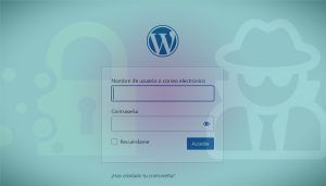 seguridad en internet